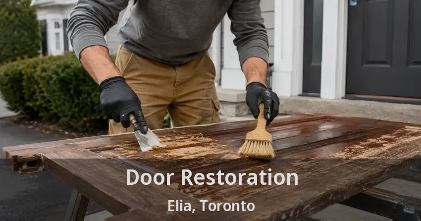 Door Restoration Elia, Toronto - ON