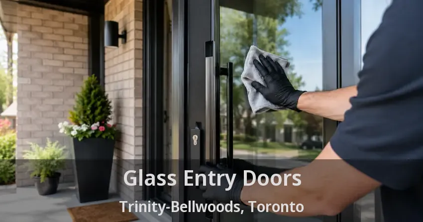 Glass Entry Doors Trinity-Bellwoods, Toronto - ON